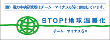 �`�[���E�}�C�i�X6%