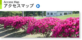 �A�N�Z�X�}�b�v