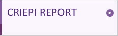 CRIEPI REPORT
